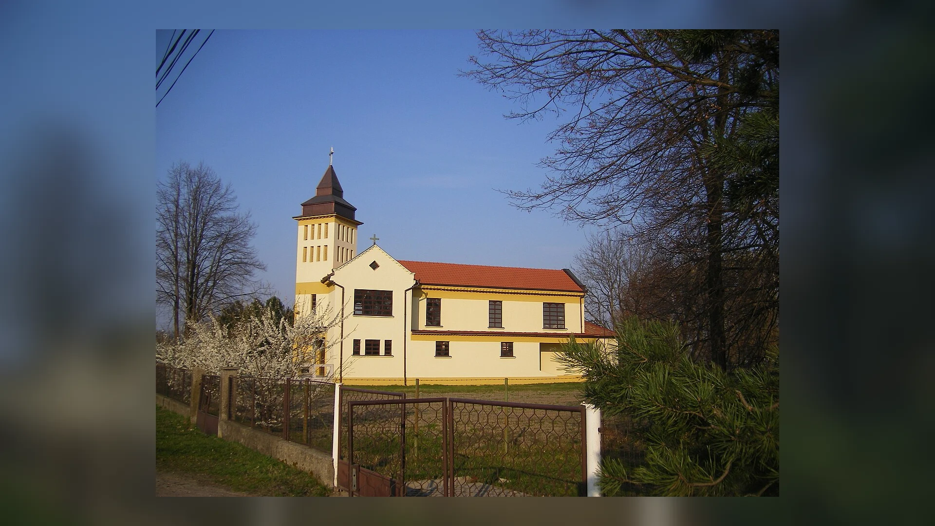 Lipové