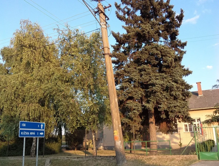 komáromfüssi gólyafészek